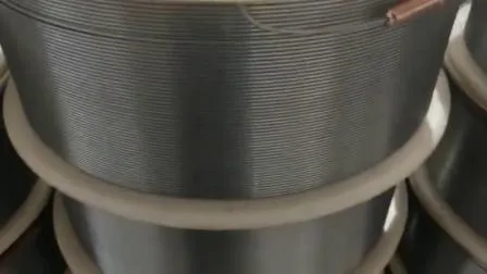 Stainless Steel Wire for Wire Mesh with Ce Certificate (0.3-3.0mm)